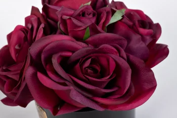 Диффузор Five Rose Red 18X18X16 CM