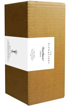 Диффузор ароматический The Olphactory Further Verbena 500 ml
