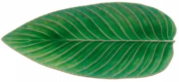 Блюдо Riviera Strelizia Leaf 40X17 CM