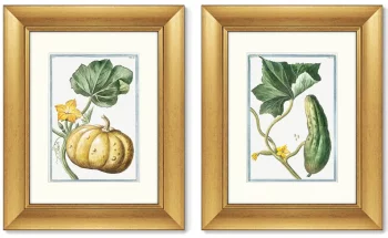 Диптих Cucumber & Melopepo 41X51 / 41X51 CM