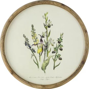 Комплект из четырёх панно Flora Ø50 CM