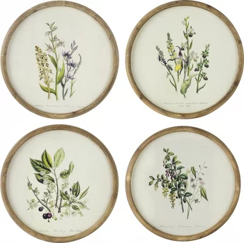 Постеры Flora Ø50 / Ø50 / Ø50 / Ø50 CM