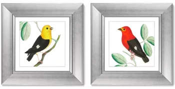 Диптих Red & Black manakins 36X36 / 36X36 CM 