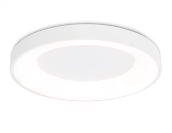 Накладной светильник Ambrella Light FZ1401