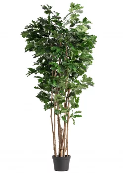 Искусственное растение Roble 90X70X210 CM