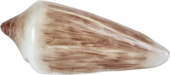 Фигурка Shell Cone Luteus 9X4X4 CM