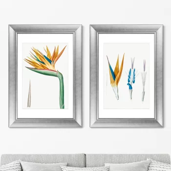 Диптих Les liliacées 51X71 / 51X71 CM