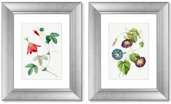Диптих Antique plants drawn 41X51 / 41X51 CM