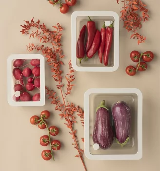 Контейнер для хранения стеклянный с вакуумным эффектом 25X21X8 CM