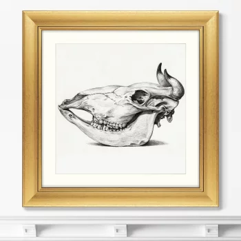 Постер Skull 61X61 CM