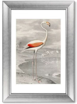 Постер Le Flammant 51X71 CM