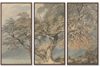 Триптих A Great Tree 52X105 / 52X105 / 52X105 CM