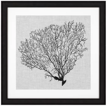Постеры Shadow Sea Fans 62X62 / 62X62 / 62X62 / 62X62 CM