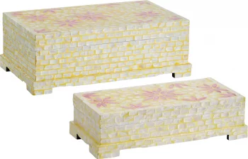 Набор из двух шкатулок Sarait 40X23X14 / 34X17X9 CM