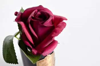Диффузор Rose Bud Red 8X8X14 CM