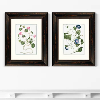 Диптих Botanical Maritimus 41X51 / 41X51 CM