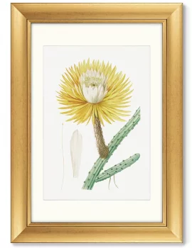 Диптих Antique plants drawn 51X71 / 51X71 CM