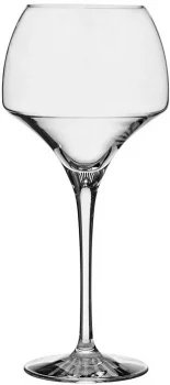 Бокал для вина Open Up 550 ml