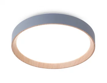 Накладной светильник Ambrella Light FZ1320