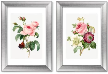 Диптих Antique plants drawn 51X71 / 51X71 CM