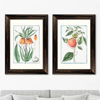 Диптих Flore pulchre rubente 51X71 / 51X71 CM