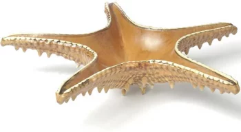 Блюдо для подачи Frutti di Mare Ø28 CM