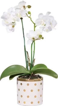 Растение декоративное искусственное Orchid 19X13X46 CM