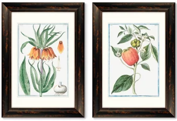 Диптих Flore pulchre rubente 51X71 / 51X71 CM