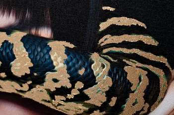 Холст Kato 80X120 CM