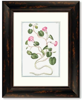 Диптих Botanical Maritimus 41X51 / 41X51 CM