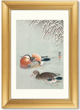 Постер Mandarin ducks 51X71 CM