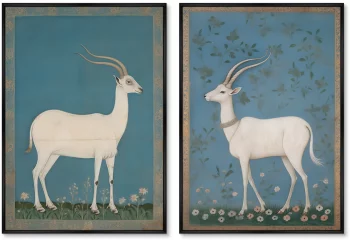 Набор из двух постеров на холсте White goats 75X105 / 75X105 CM