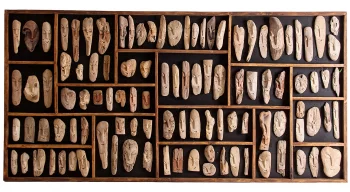Декоративная панель Fossils 245X4X122 CM