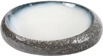 Тарелка Tajimi Series Oval 27X22X6 CM