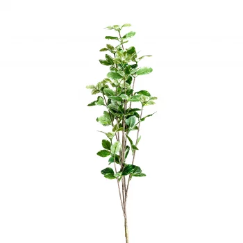 Листья растения Ficus 10X10X88 CM