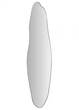 Зеркало Albig 40X170 CM