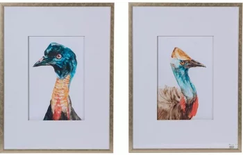 Набор из двух постеров Cassowaries 60X80 / 60X80 CM