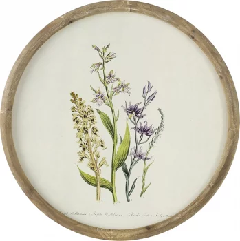 Постеры Flora Ø50 / Ø50 / Ø50 / Ø50 CM