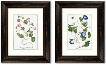 Диптих Botanical Maritimus 41X51 / 41X51 CM