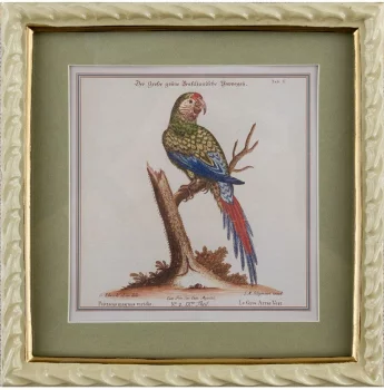 Панно настенное Parrot 22X23 CM