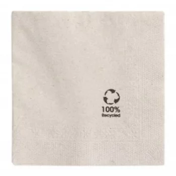 Салфетка бумажная ECO двухслойная, 20*20 см, 100 шт, Garcia de PouИспания