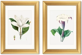 Диптих Antique plants drawn 51X71 / 51X71 CM