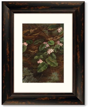 Диптих Trailing Arbutus 41X51 / 41X51 CM