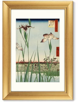 Диптих Color engraving 51X71 / 51X71 CM