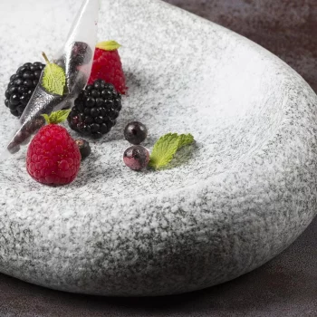 Блюдо овальное 26*20 см h6 см 300 мл Stone Untouched Taiga P.L. Proff Cuisine [1]