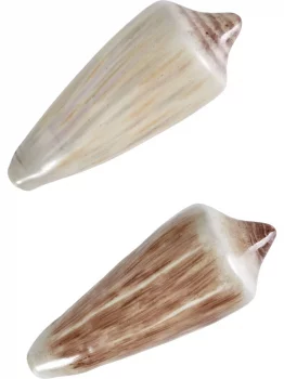 Фигурка Shell Cone Luteus 9X4X4 CM