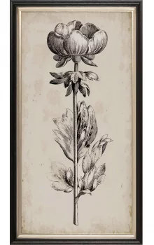 Постер Beauty 30X60 CM