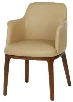 Обеденный стул Jacey 56X56X79 CM