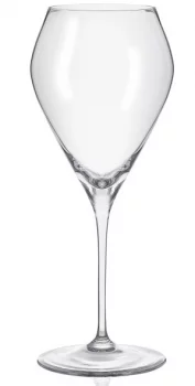 Бокал для вина Bravissimo 480 ml