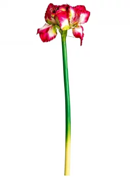 Цветок искусственный Amaryllis 73 CM